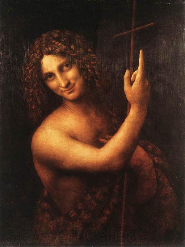 LEONARDO da Vinci Leda h Germany oil painting art